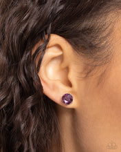 Load image into Gallery viewer, Earrrings Breathtaking Birthstone - Purple POST E3017