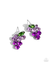 Load image into Gallery viewer, Earrings Grapevine Grace - Purple POST E3015