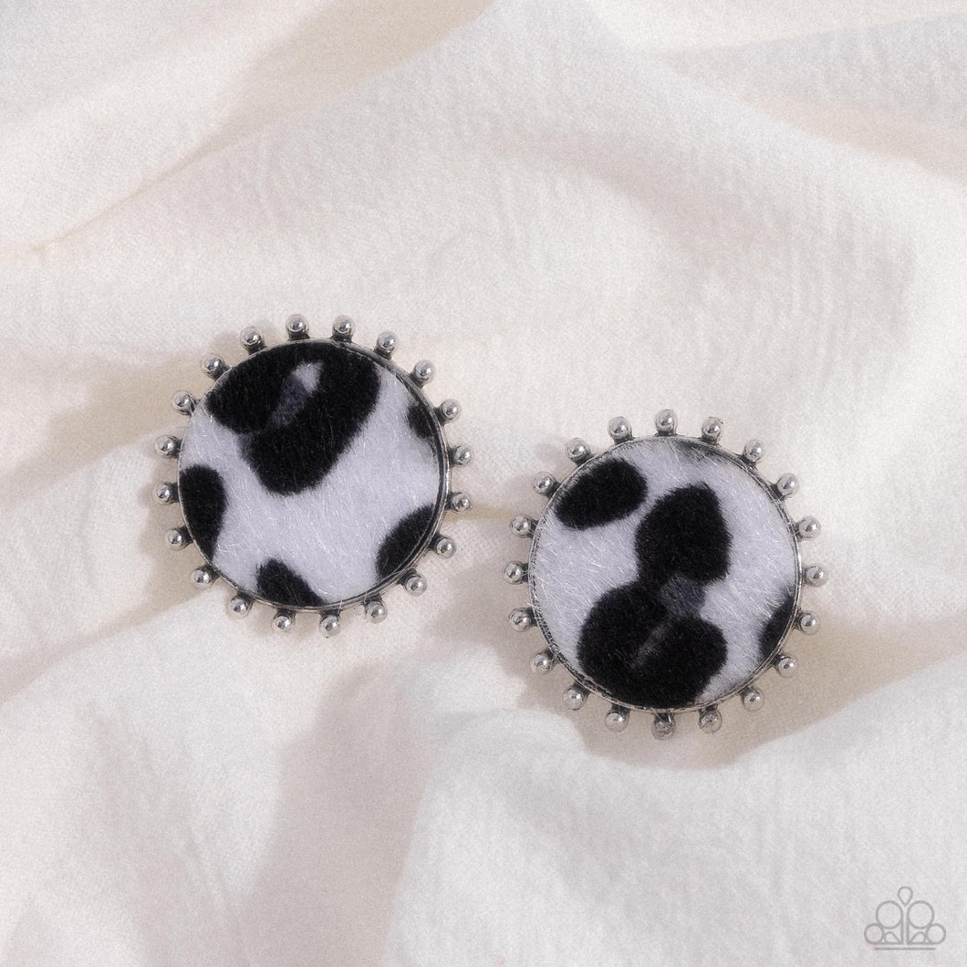 Earrings Cowhide Couture - Black WS502