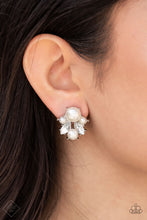 Load image into Gallery viewer, Fashion Fix Fiercely 5th Avenue - Complete Trend Blend FFA-0721