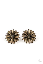 Load image into Gallery viewer, Earrings Daisy Dilemma - Brass E2318