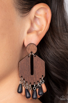 Earrings Western Retreat - Multi Brown E406