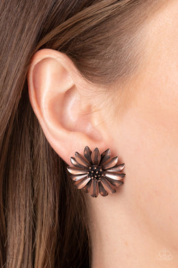 Earrings Daisy Dilemma - Copper